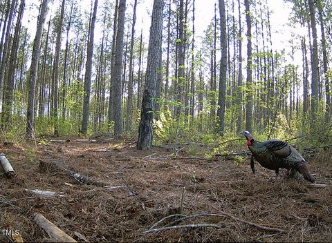 0 Richardson Road Warrenton NC 27589