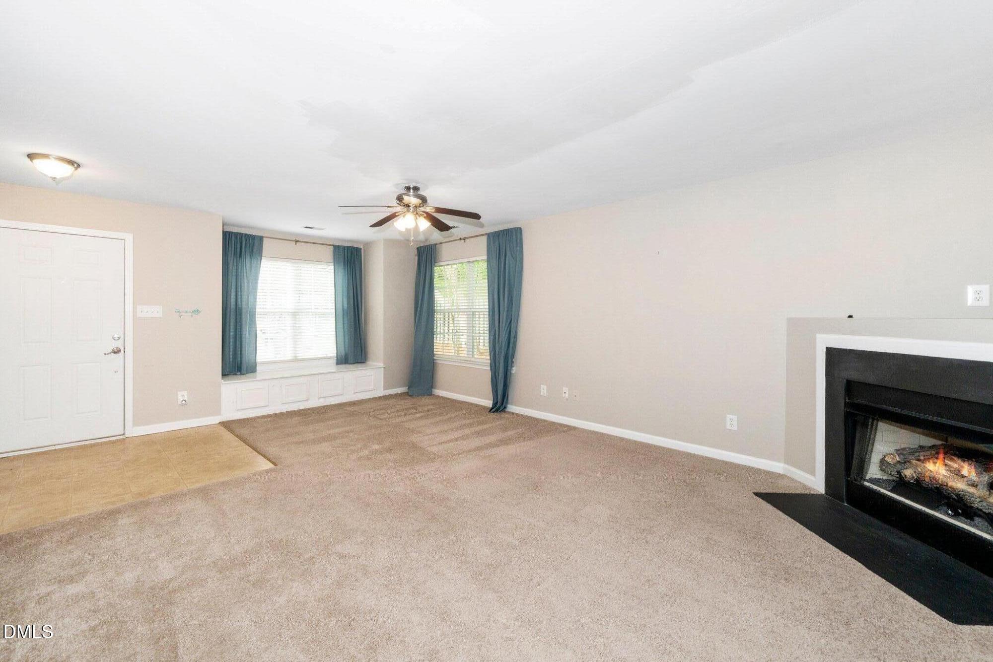 216 Climbing Ivy Court