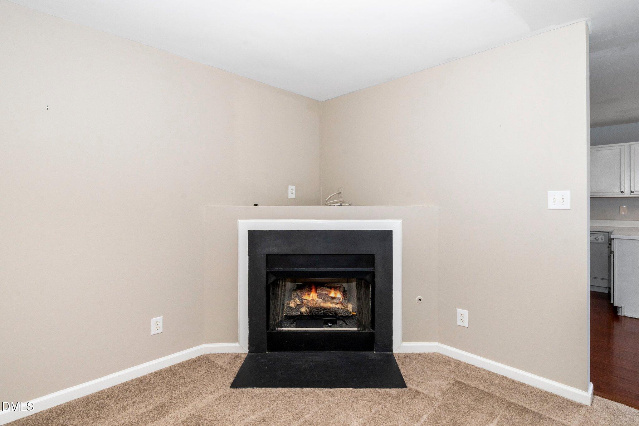 216 Climbing Ivy Court