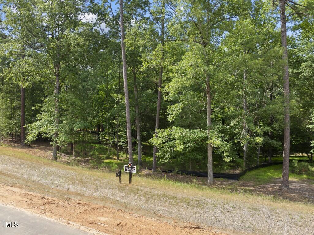 6736 Brixley Crest Court