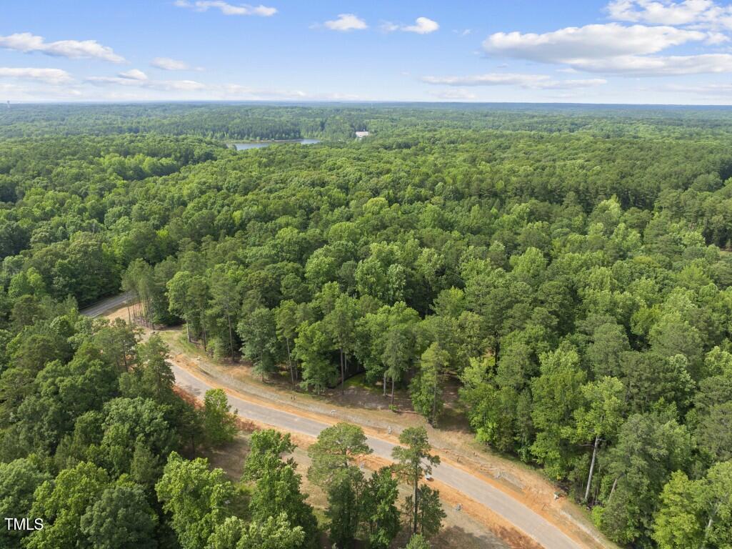 6736 Brixley Crest Court