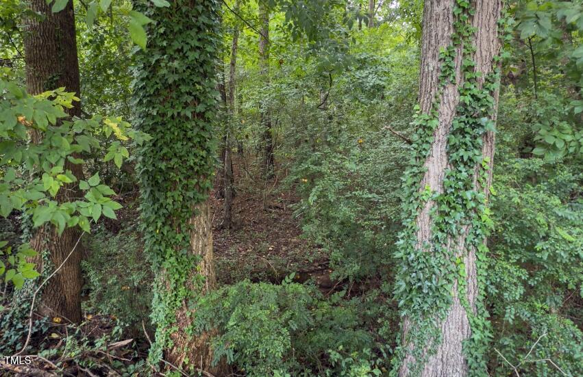 Lot 70-71 Pine Forest Drive