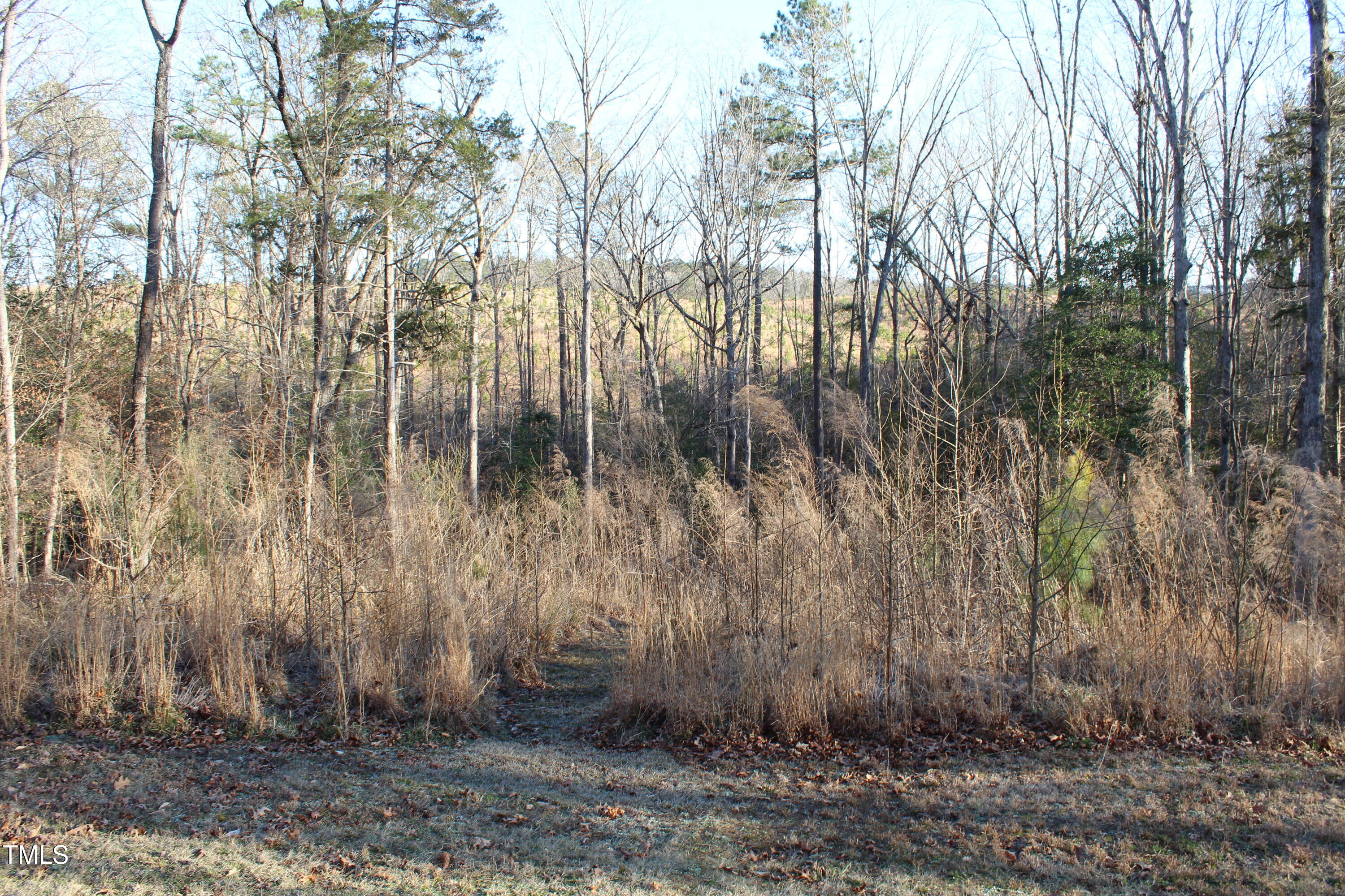 979 Natchez Trace