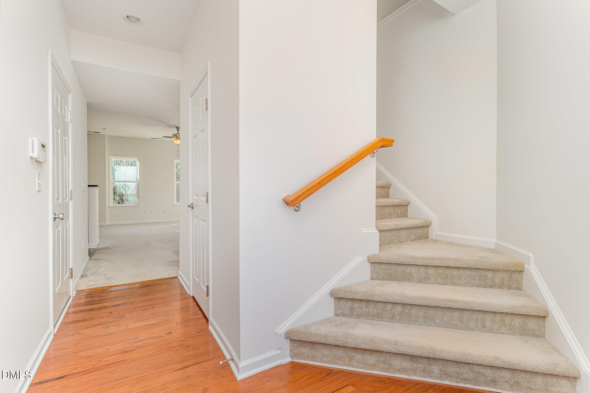 459 Panorama View Loop