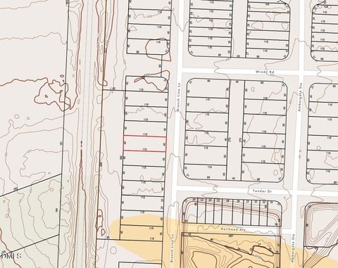 1022 Branch Line Lane Apex NC 27502