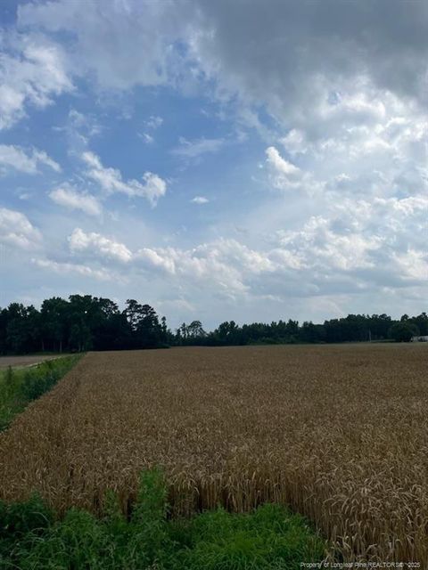 nc hwy 55 Dunn NC 28334