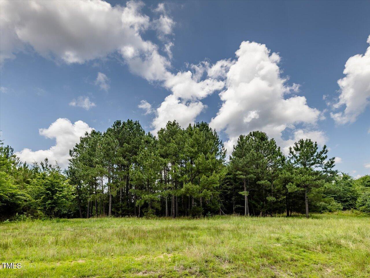 588 Rufus C Burnette Drive