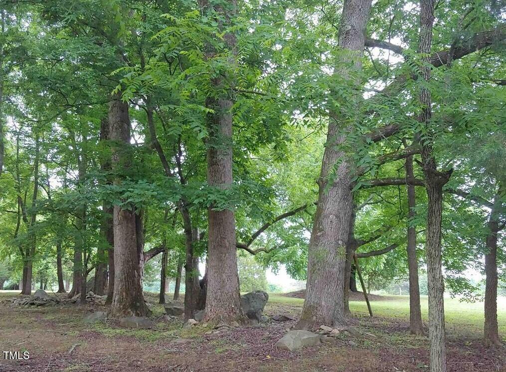 923 Arthur Minnis Road Lot 2