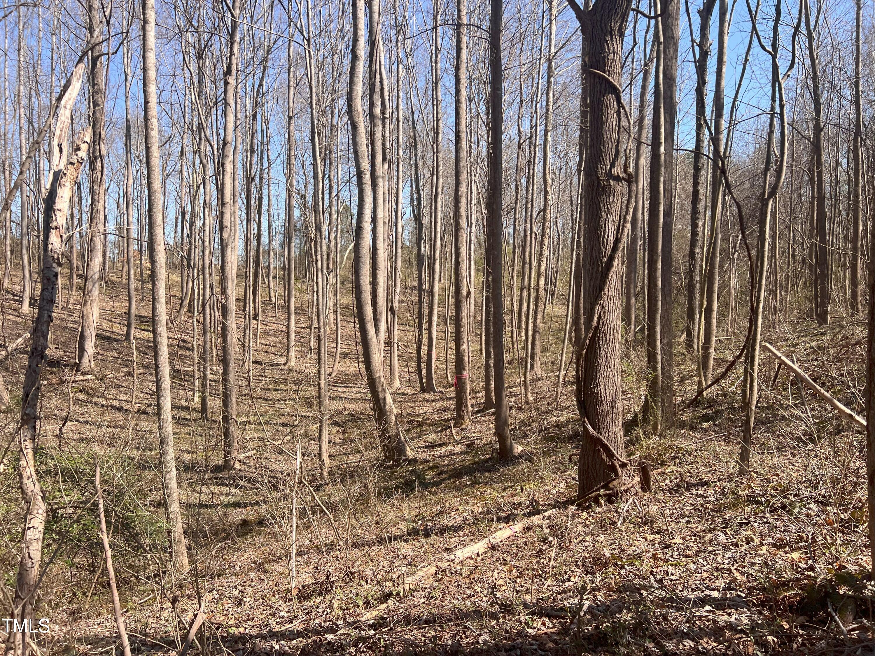 Lot 6 Fishing Creek Road