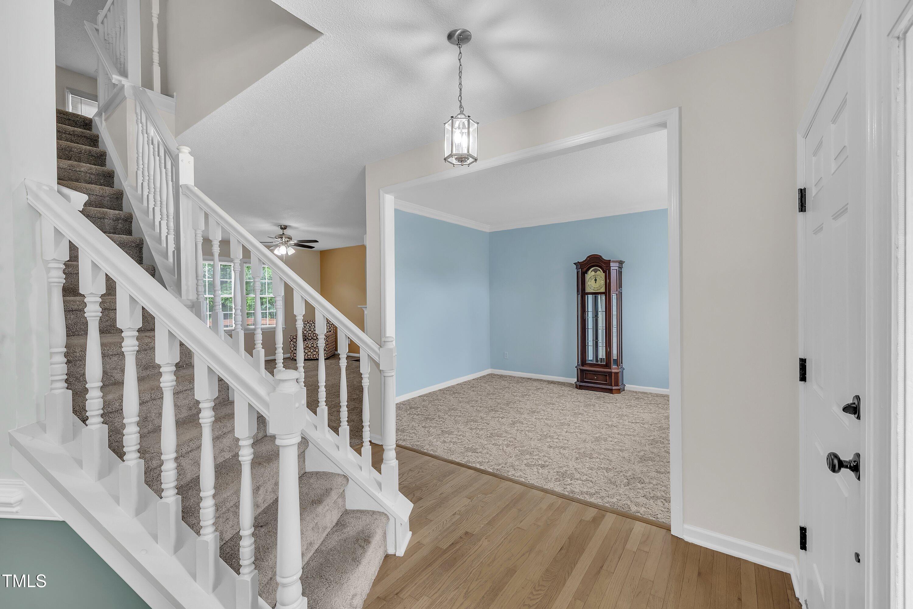 103 Springberry Court