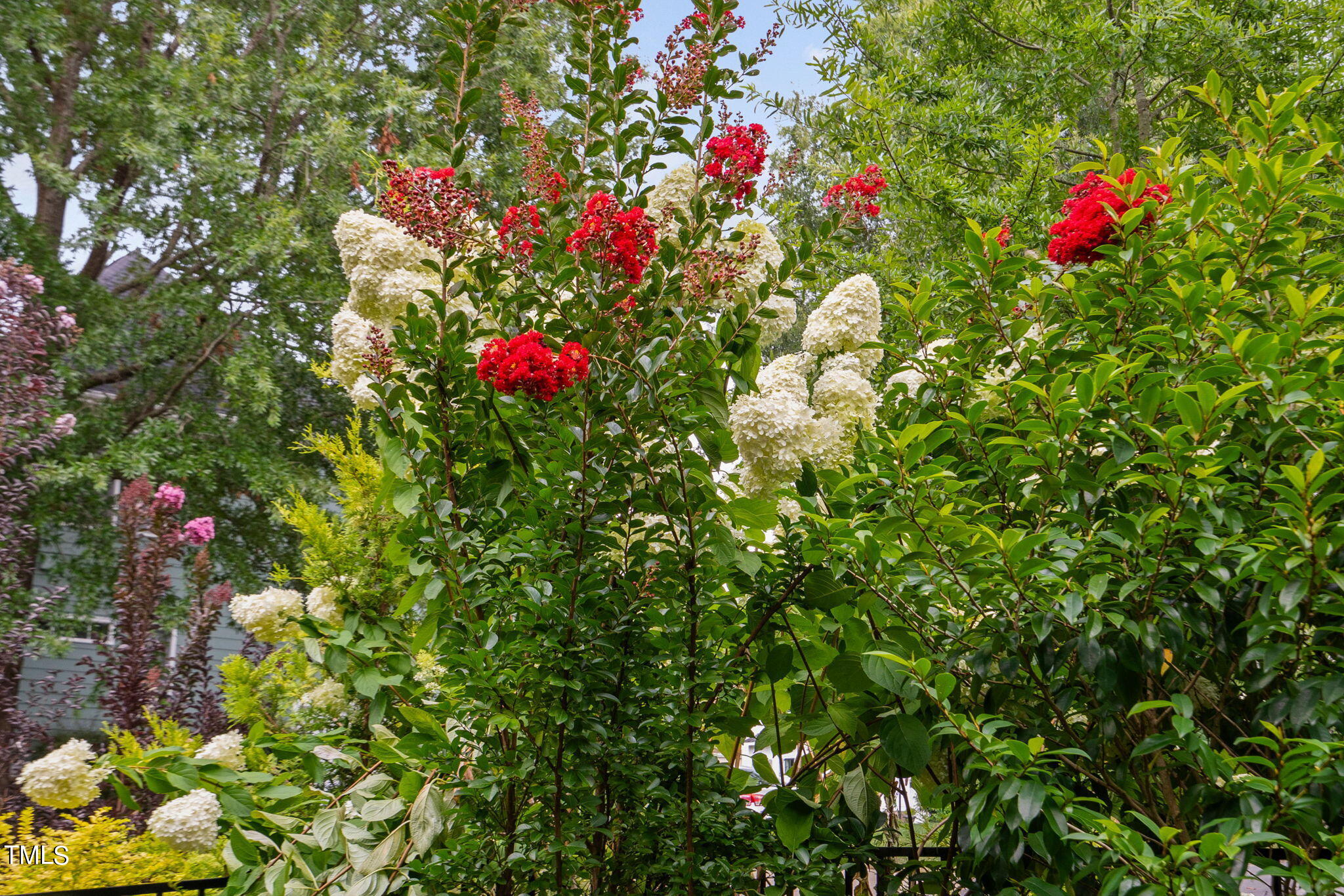 Pittsboro, North Carolina 27312, United States, 3 Bedrooms Bedrooms, ,3 BathroomsBathrooms,Residential,Active,51588