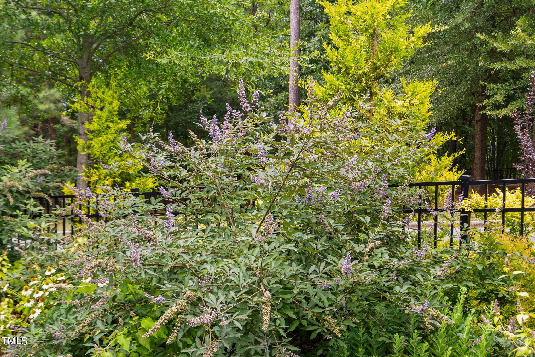 Pittsboro, North Carolina 27312, United States, 3 Bedrooms Bedrooms, ,3 BathroomsBathrooms,Residential,Active,51588