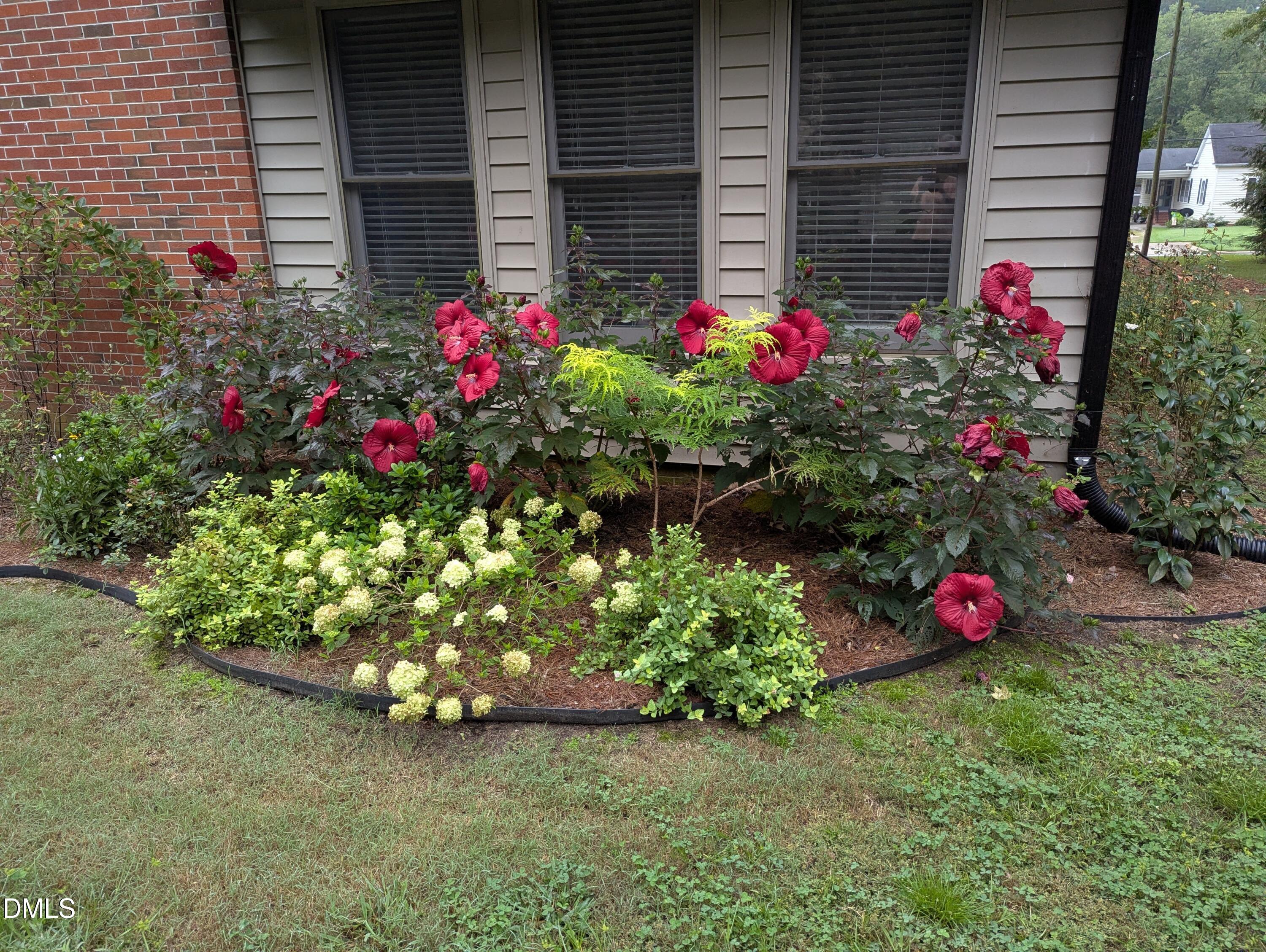 215 E Branch Street E