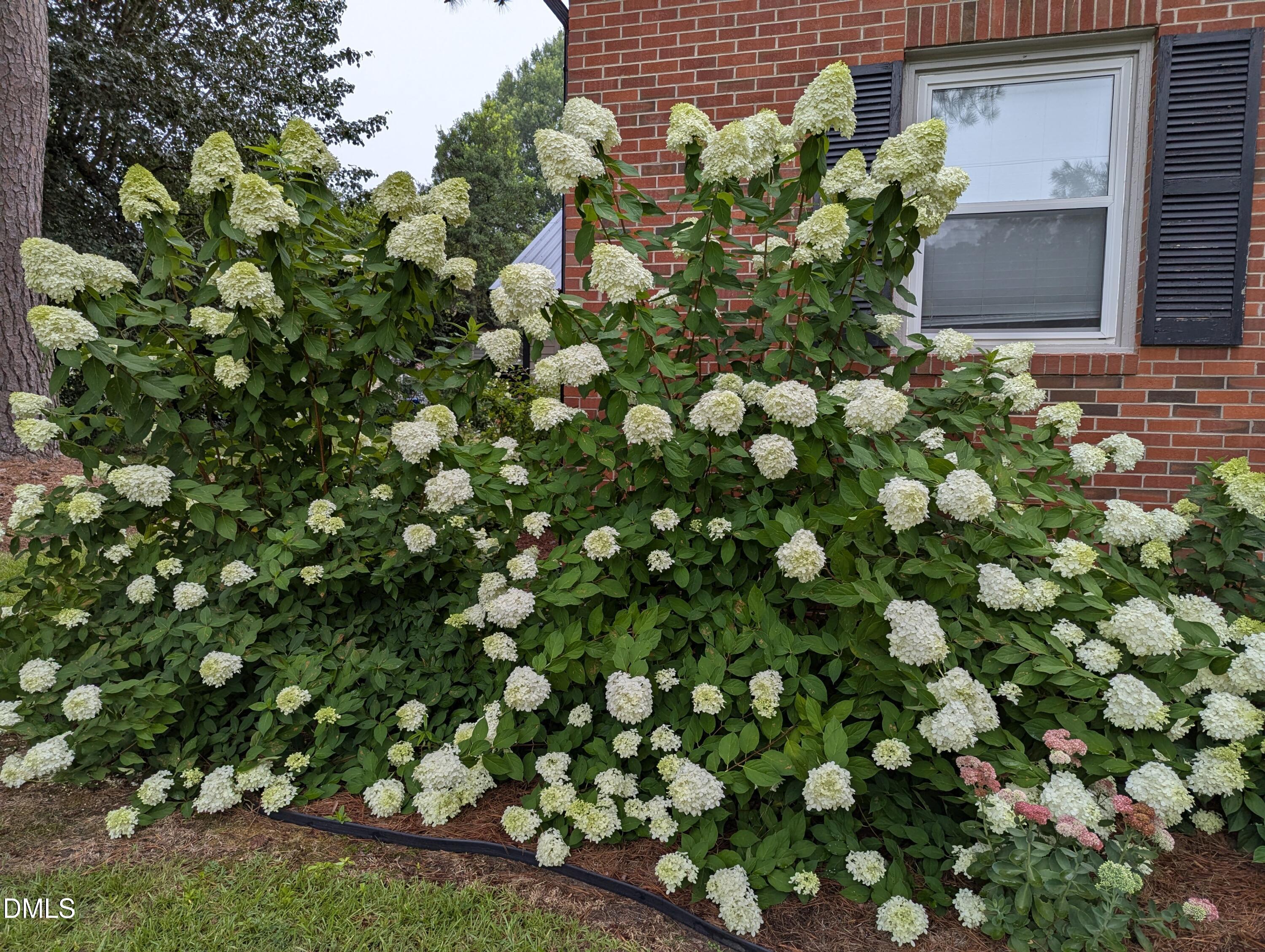 215 E Branch Street E