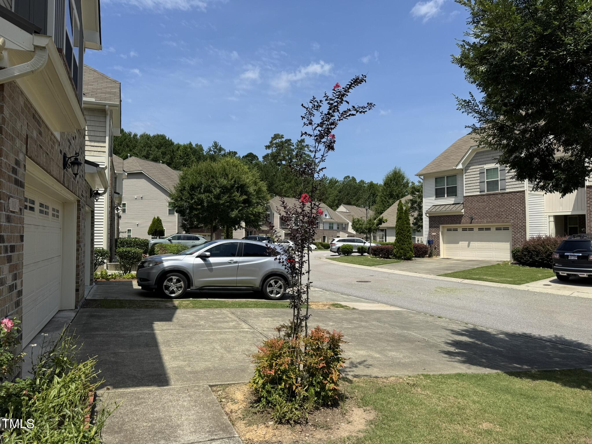 1149 Contessa Drive