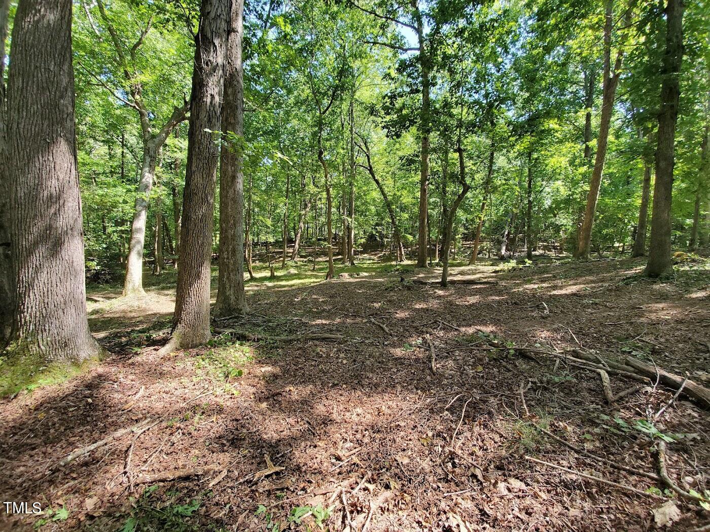 0 Reedy Creek Road Road