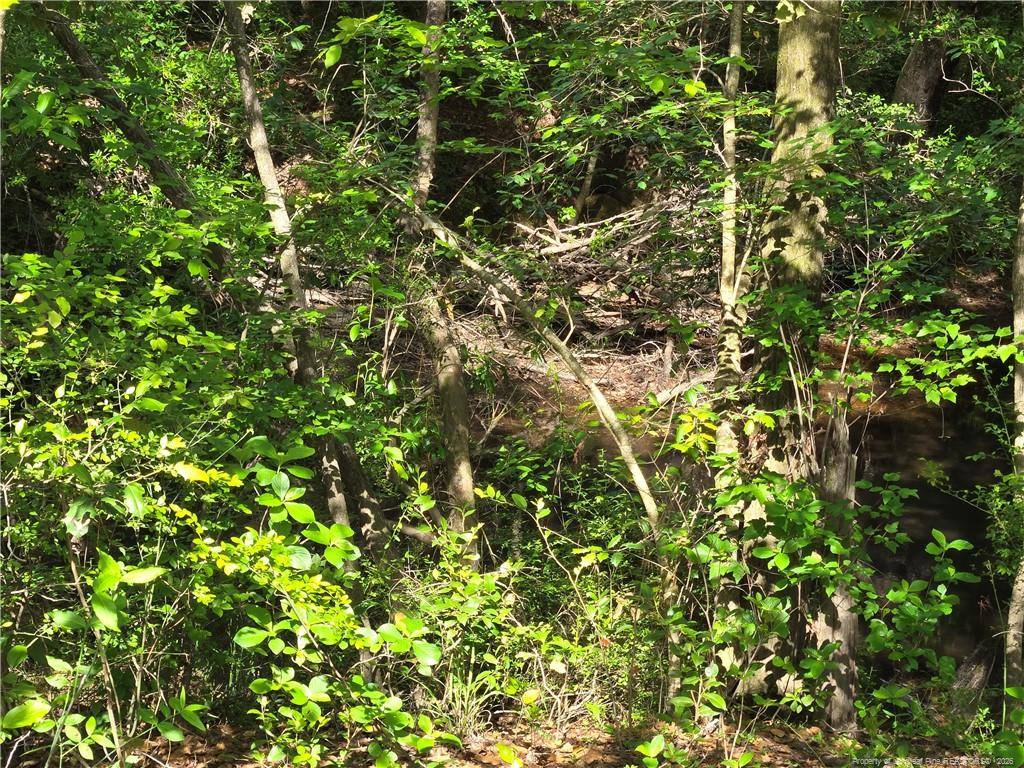 TBD Cabins Creek Road