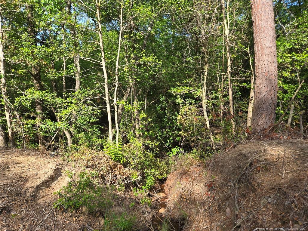 TBD Cabins Creek Road