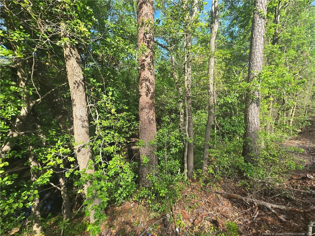 TBD Cabins Creek Road