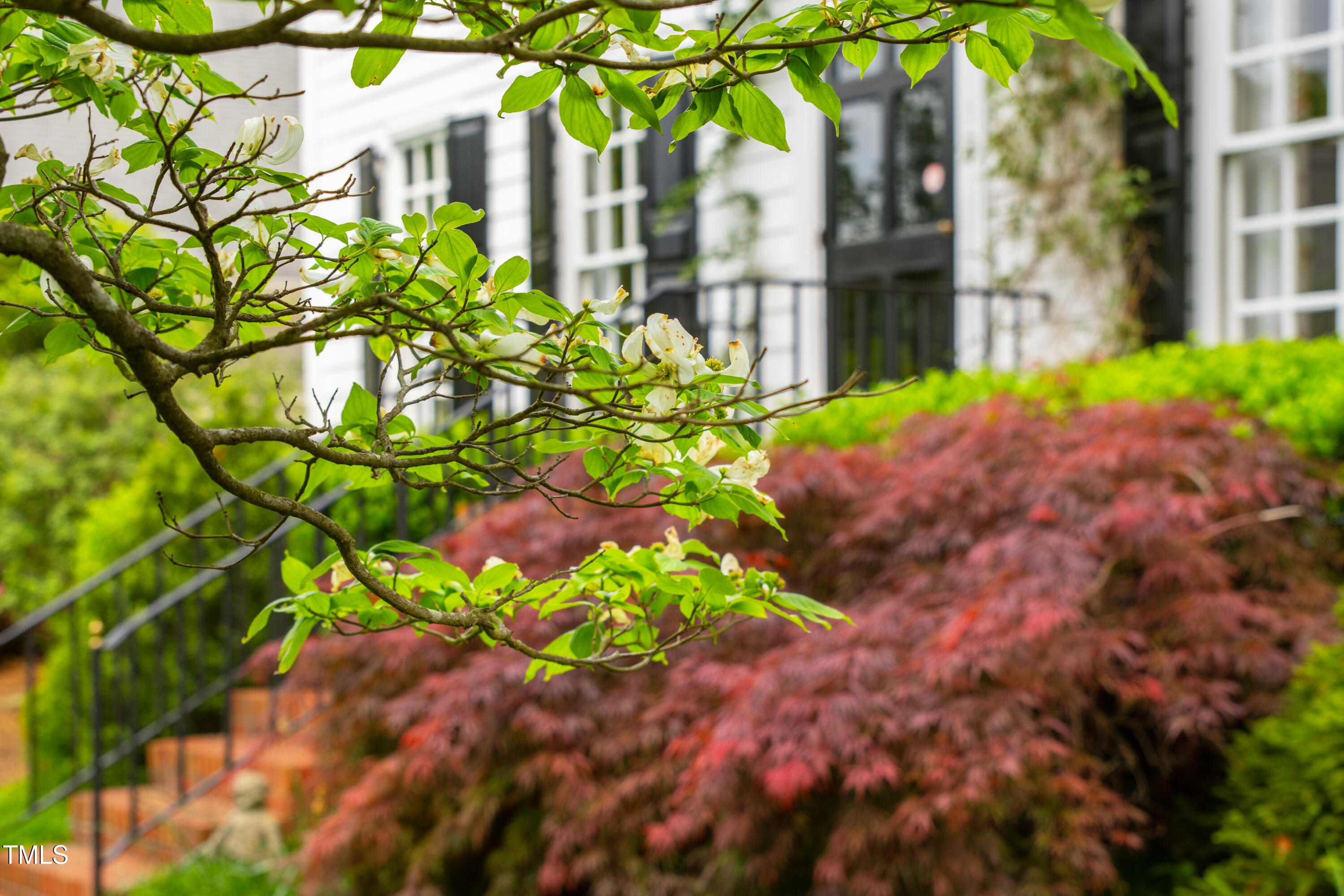 Raleigh, North Carolina 27608, United States, 4 Bedrooms Bedrooms, ,3 BathroomsBathrooms,Residential,Pending,125655