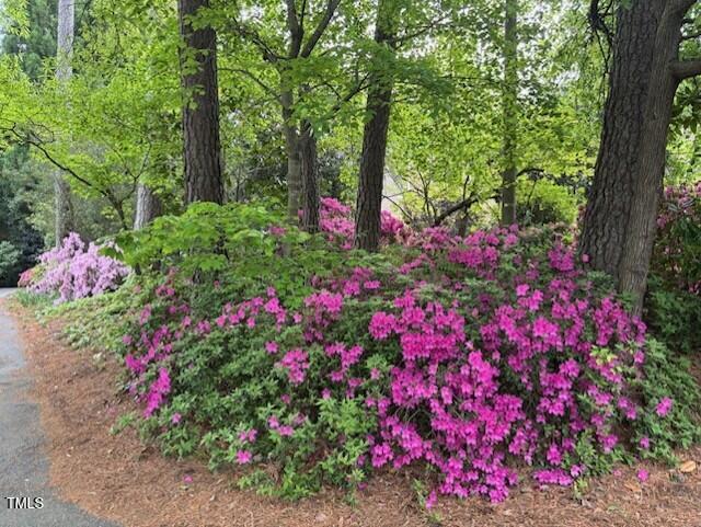 Raleigh, North Carolina 27608, United States, 4 Bedrooms Bedrooms, ,3 BathroomsBathrooms,Residential,Pending,125655