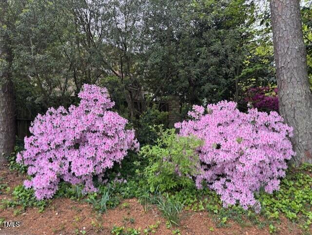 Raleigh, North Carolina 27608, United States, 4 Bedrooms Bedrooms, ,3 BathroomsBathrooms,Residential,Pending,125655