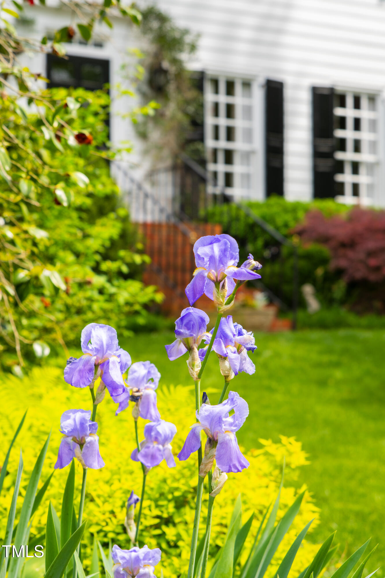 Raleigh, North Carolina 27608, United States, 4 Bedrooms Bedrooms, ,3 BathroomsBathrooms,Residential,Pending,125655