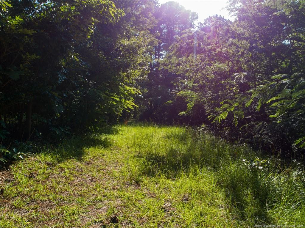 385 Buhmann Drive
