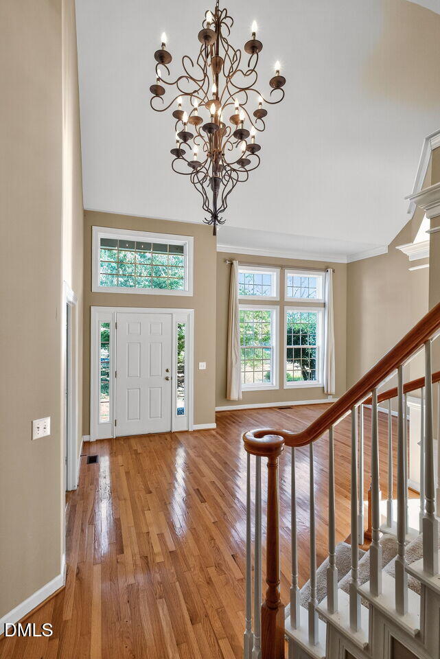 101 Fringe Tree Court