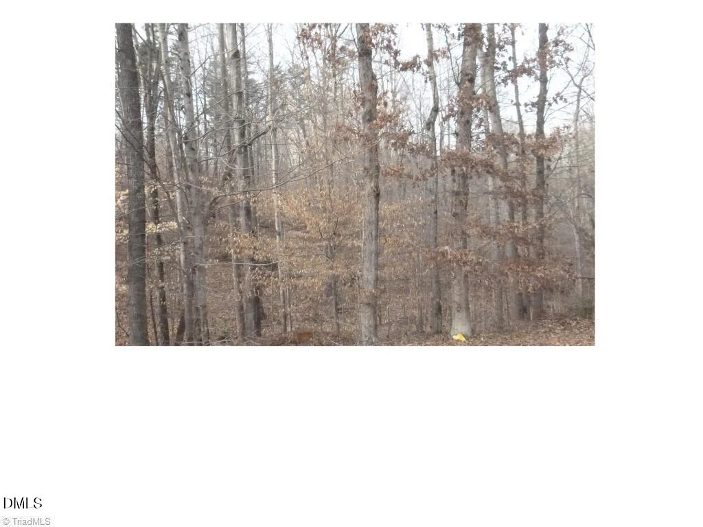 00 Mountain View Dr, Pelham, NC, 27311