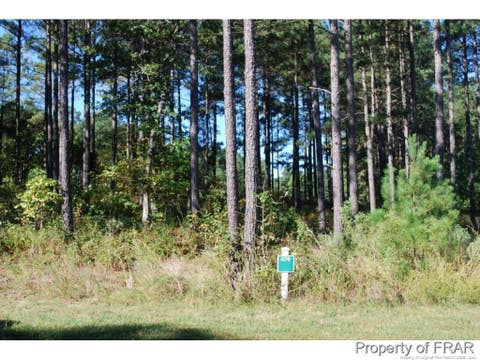 Photo of 45 Broadlake (479) Lane, Spring Lake, NC 28390 (MLS # LP734553)