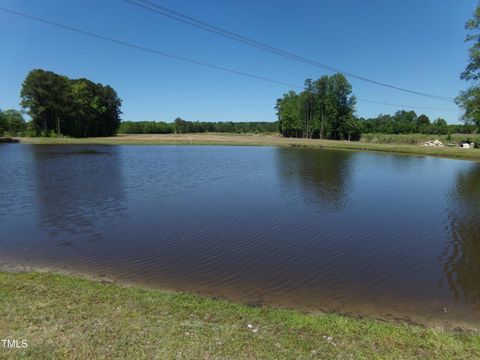 Lot 5 Triskel Zebulon NC 27597