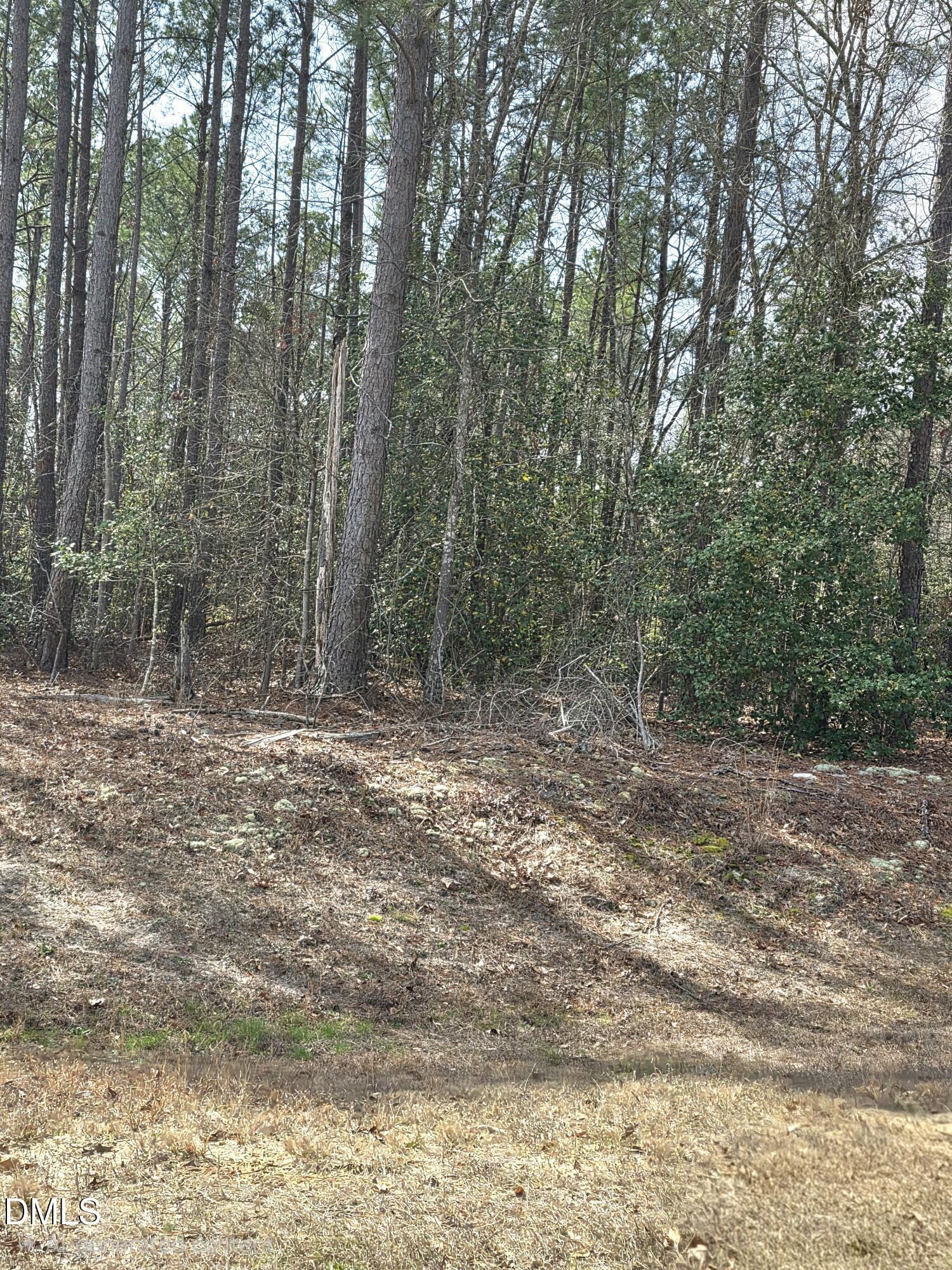 275 Raynor Sands Drive