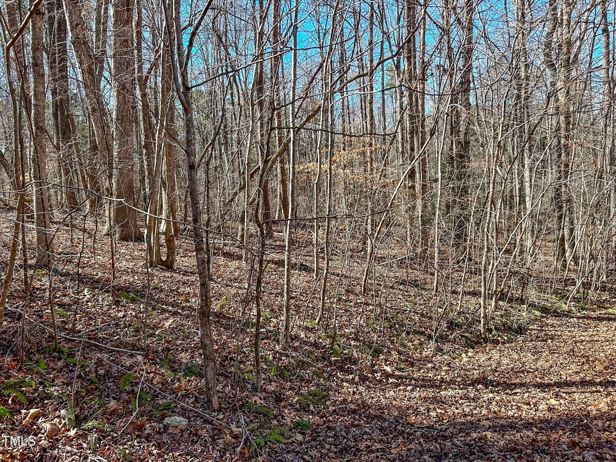 Lot 42 Oak Knob Court