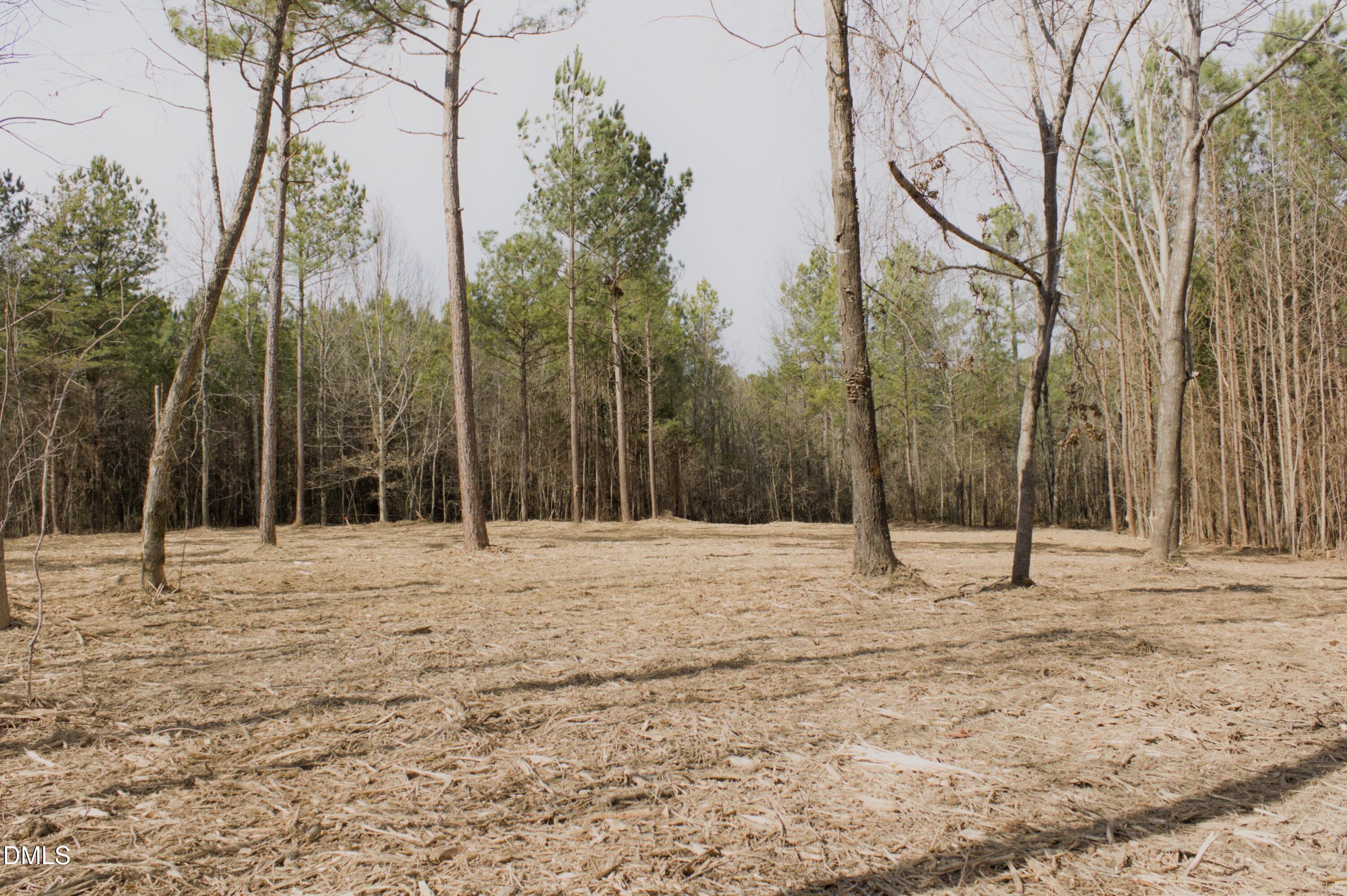 Lot 00 John Snipes Road