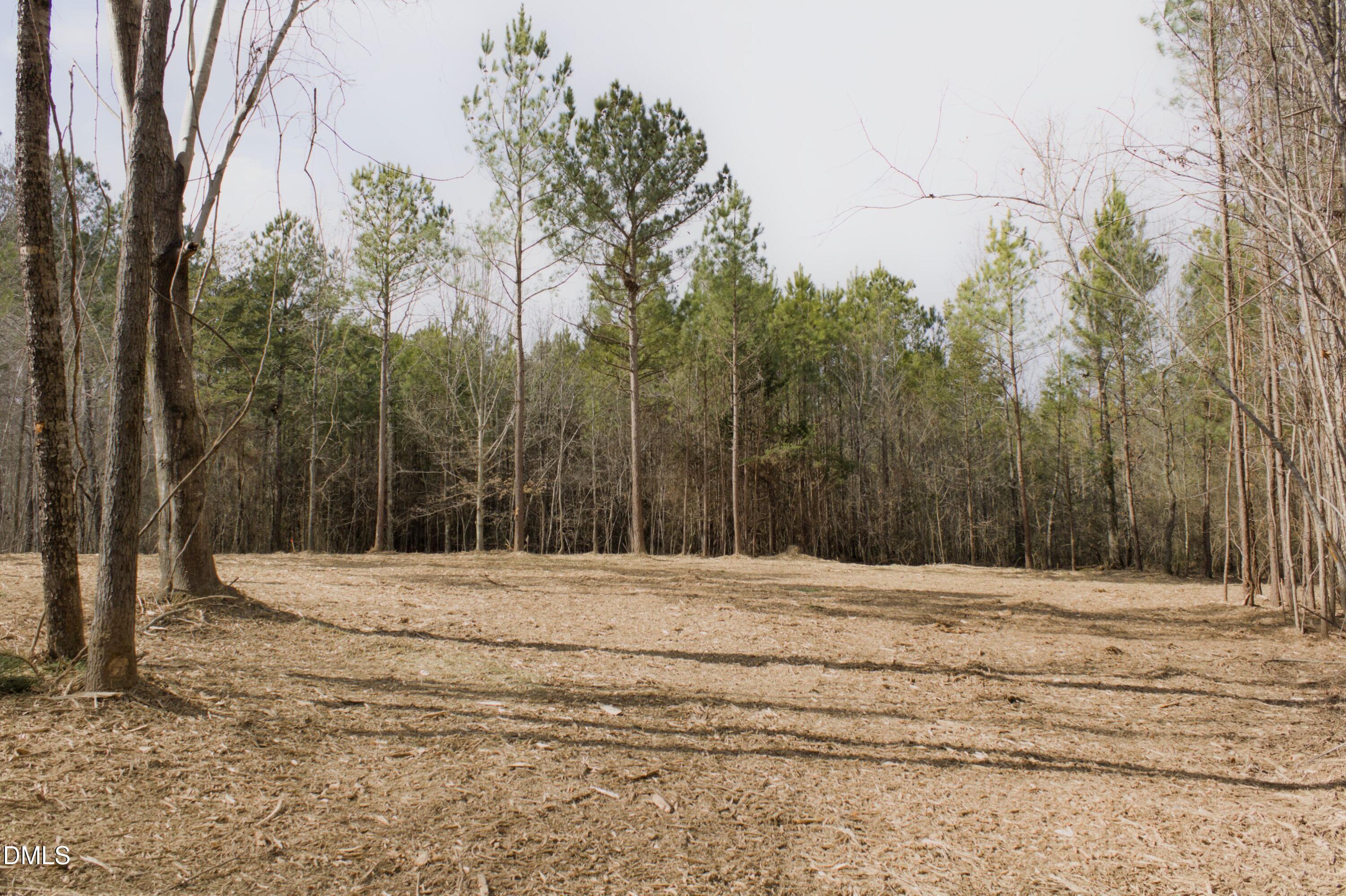 Lot 00 John Snipes Road