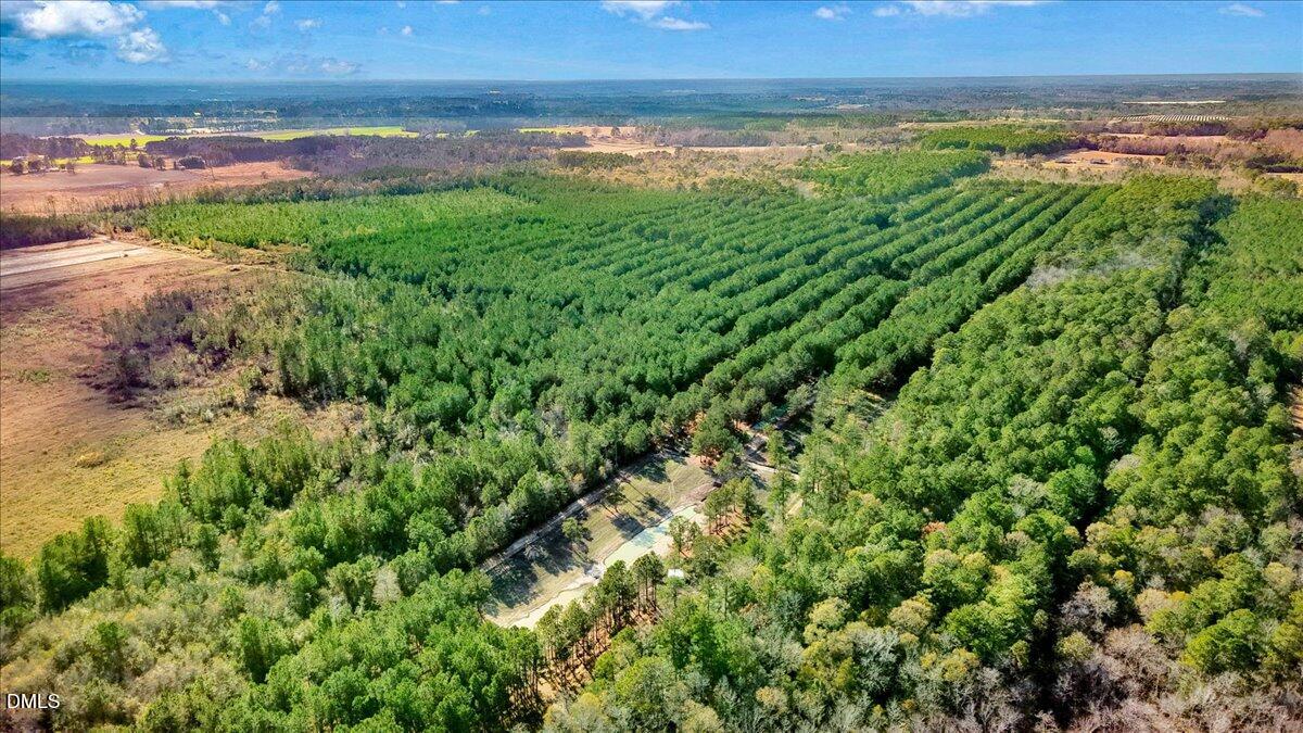 2310 Devils Racetrack Road