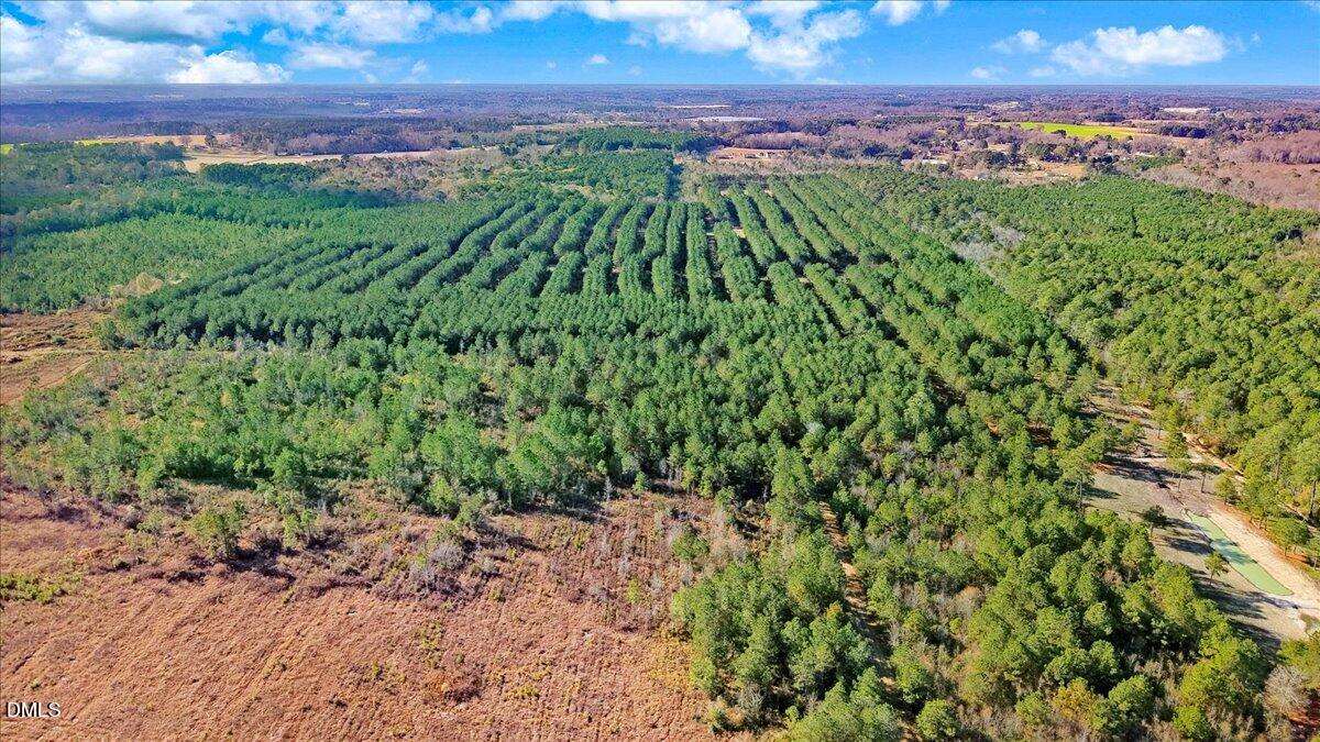 2310 Devils Racetrack Road