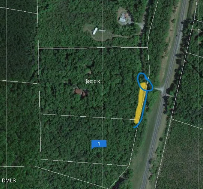 25 Screech Owl, Moncure, NC, 27559