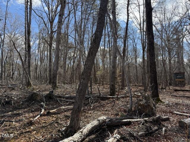 Lot 1 Olivia Pope Way