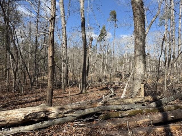 Lot 1 Olivia Pope Way