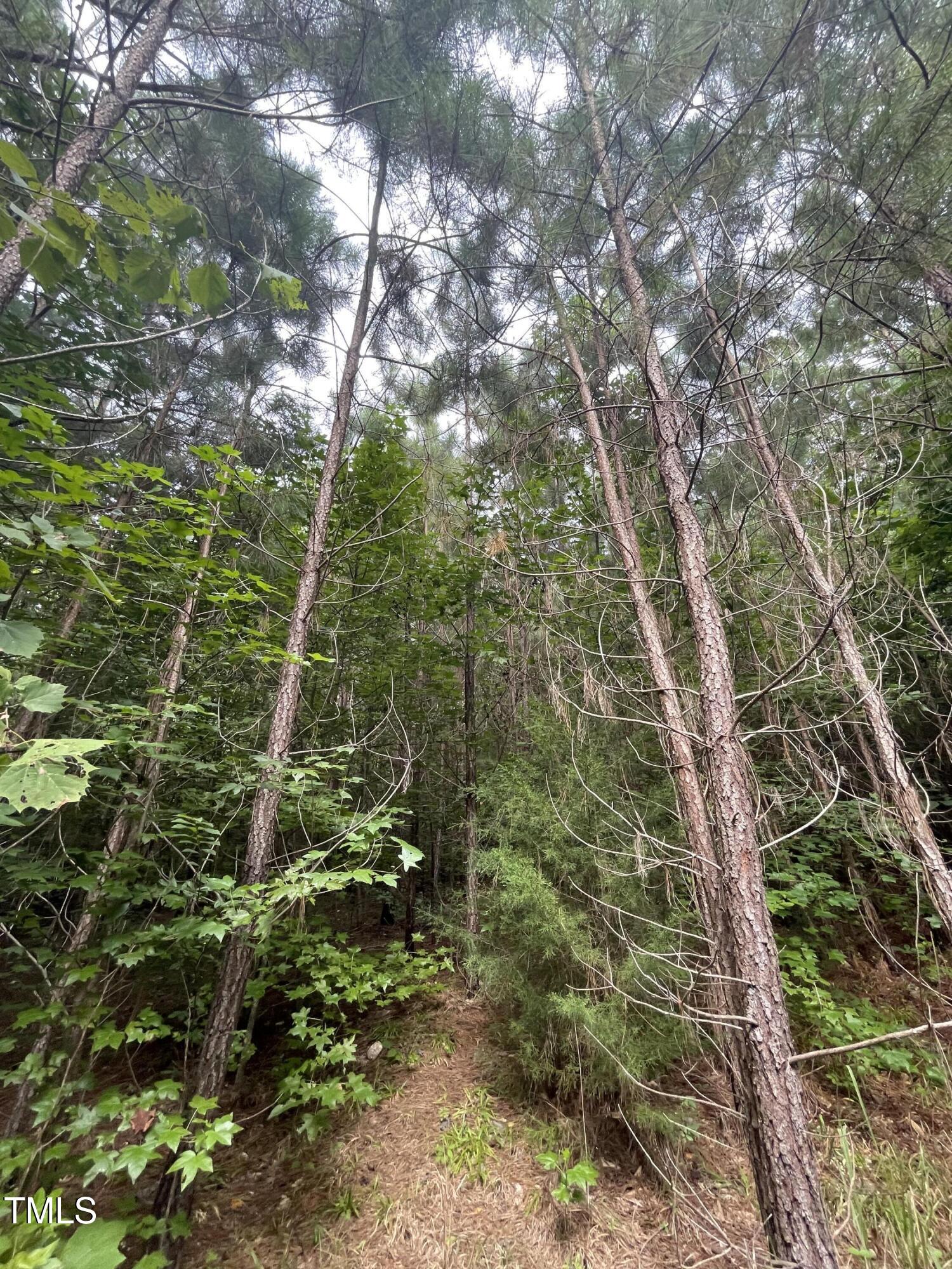 0 Bethel South Fork Road