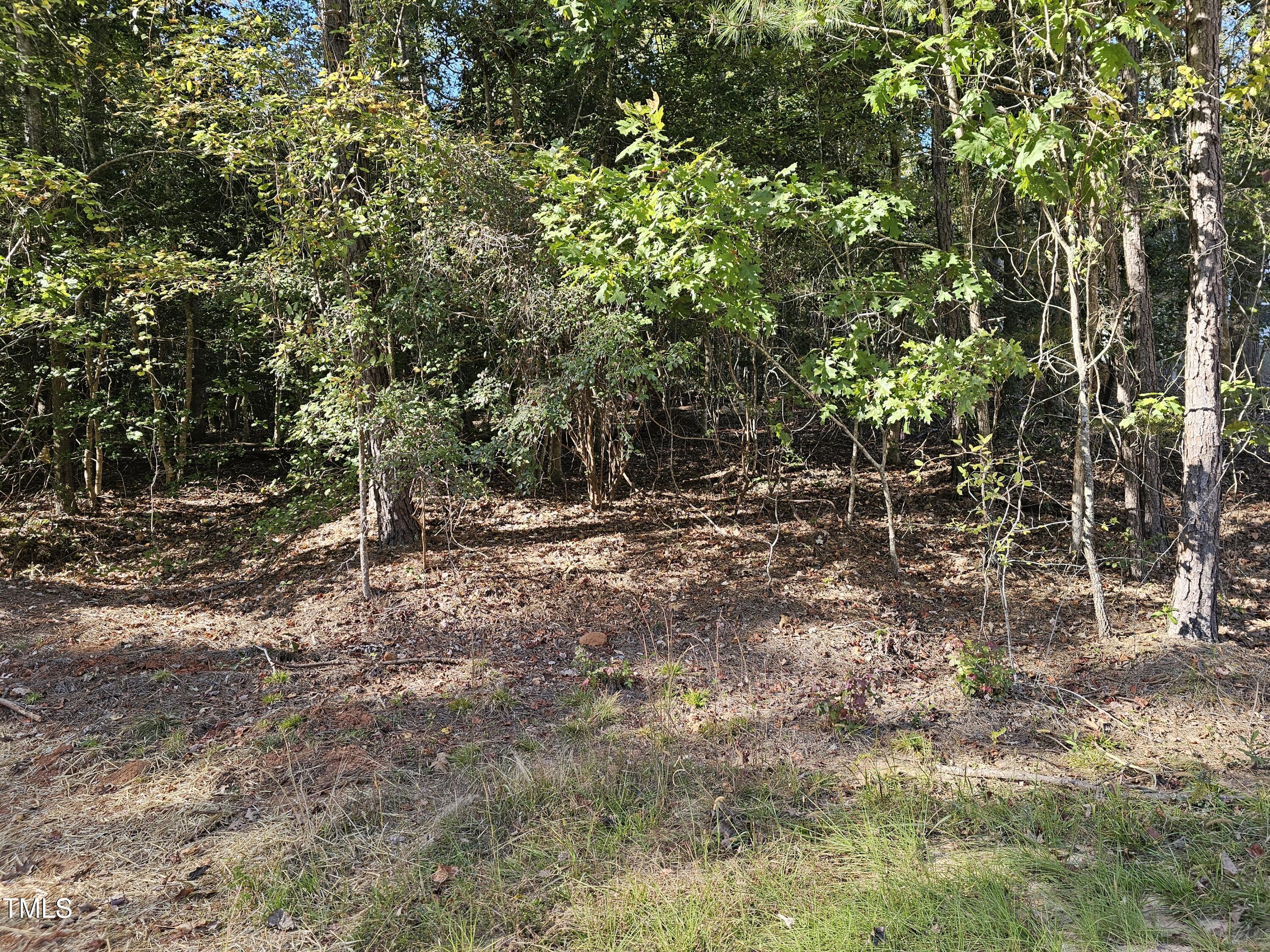244 Sequoia Drive