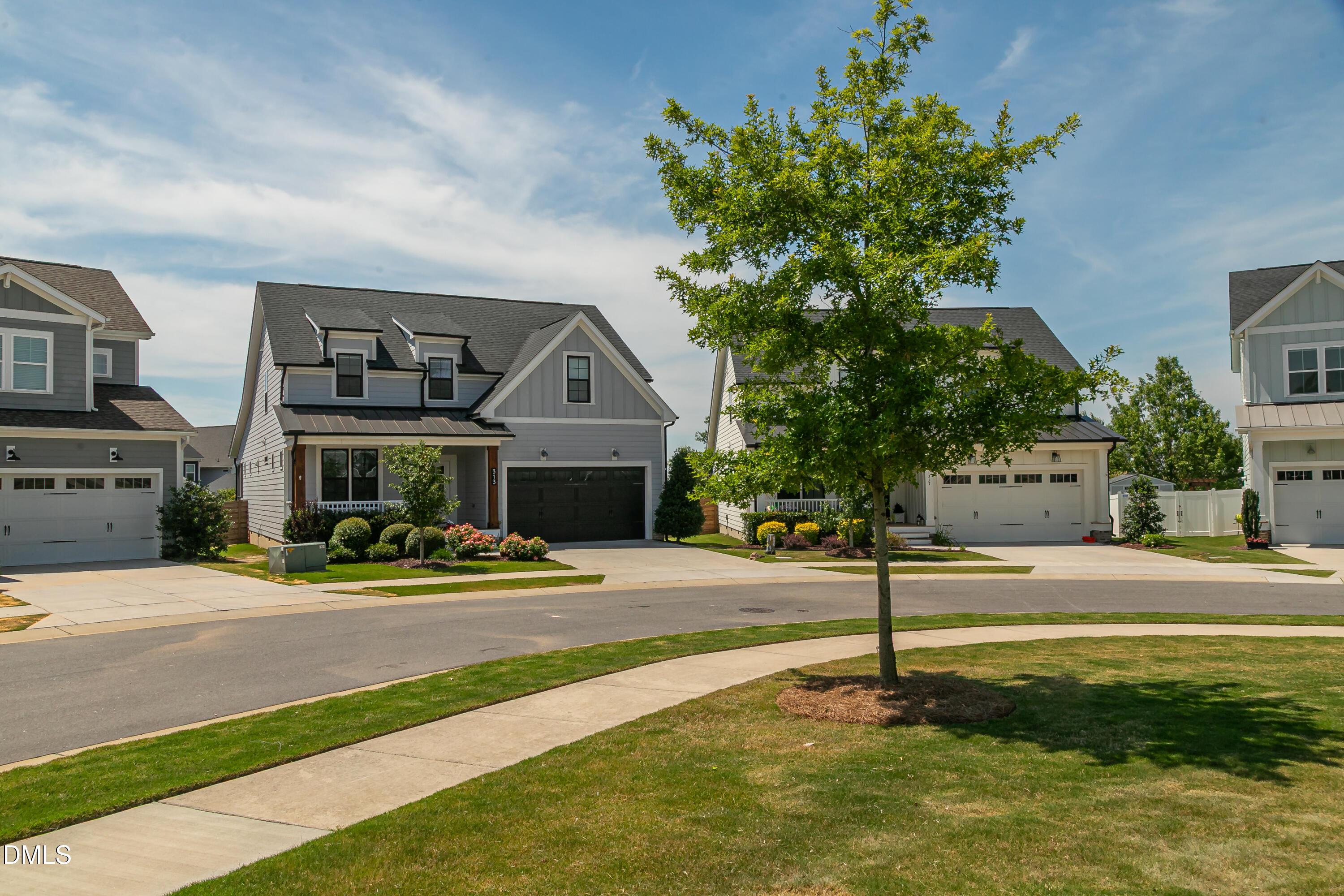 313 Painthorse Lane