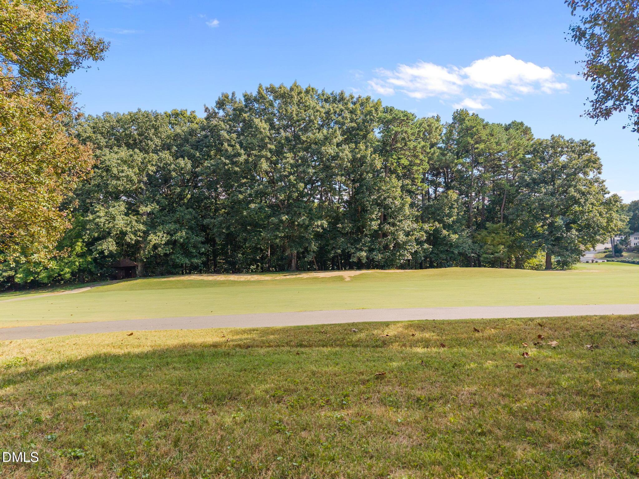 10109 Goodview Court