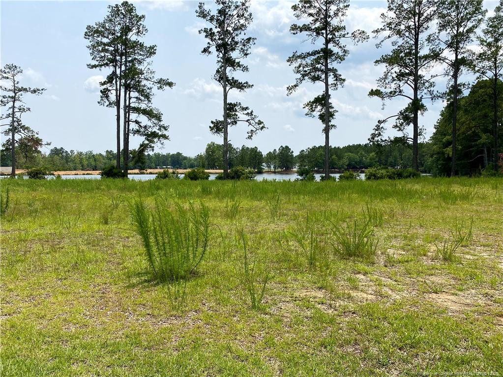 3964 Rebel (Lot 10) Road