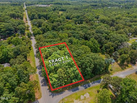 Lot 1 N. Green Street Robbins NC 27325