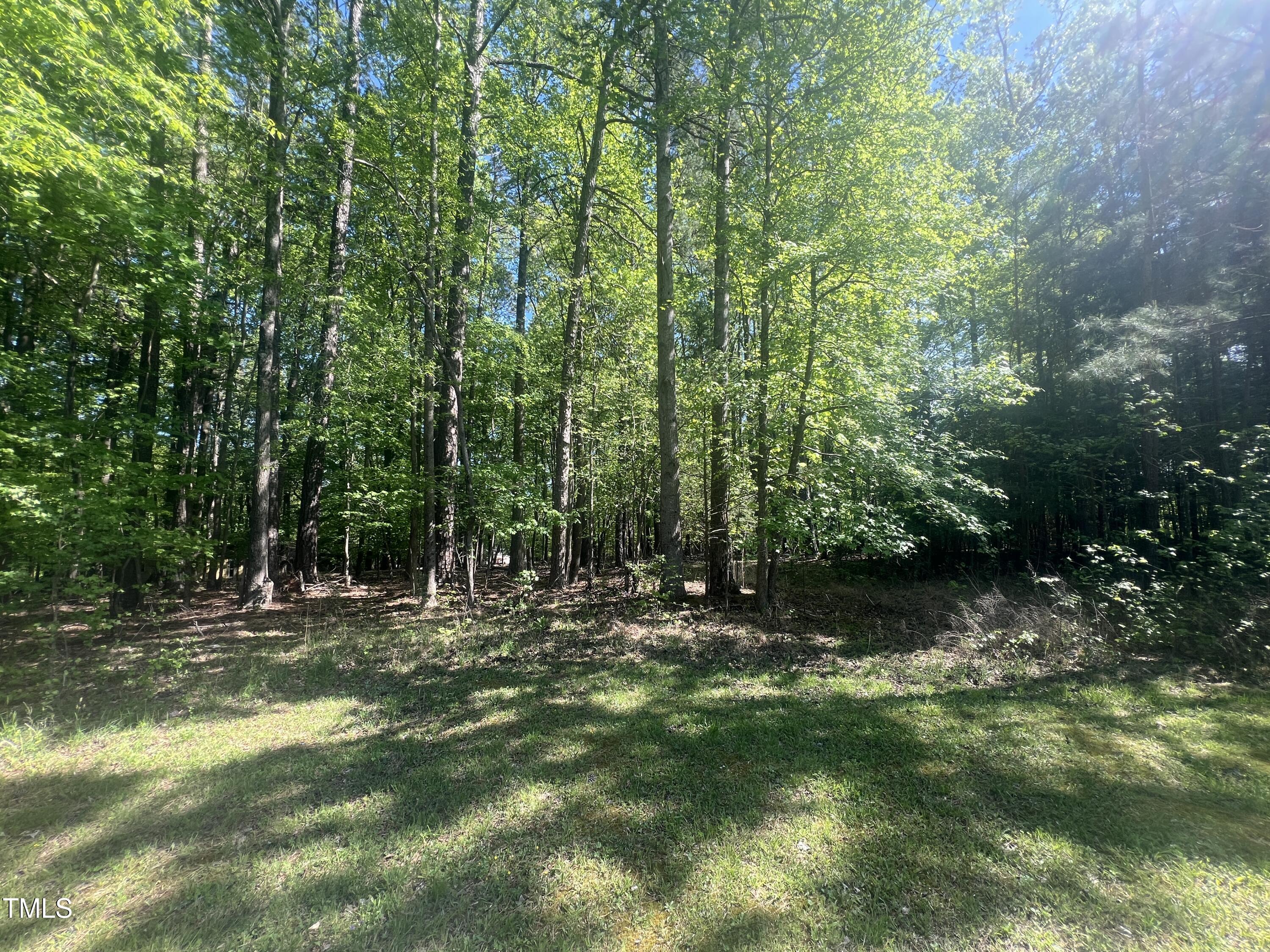 2113 Mt Sinai Road