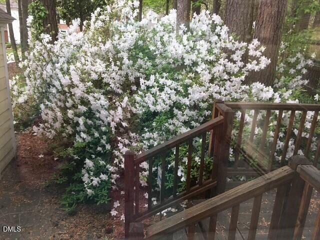 Raleigh, North Carolina 27615, United States, 4 Bedrooms Bedrooms, ,3 BathroomsBathrooms,Residential,Active,236384