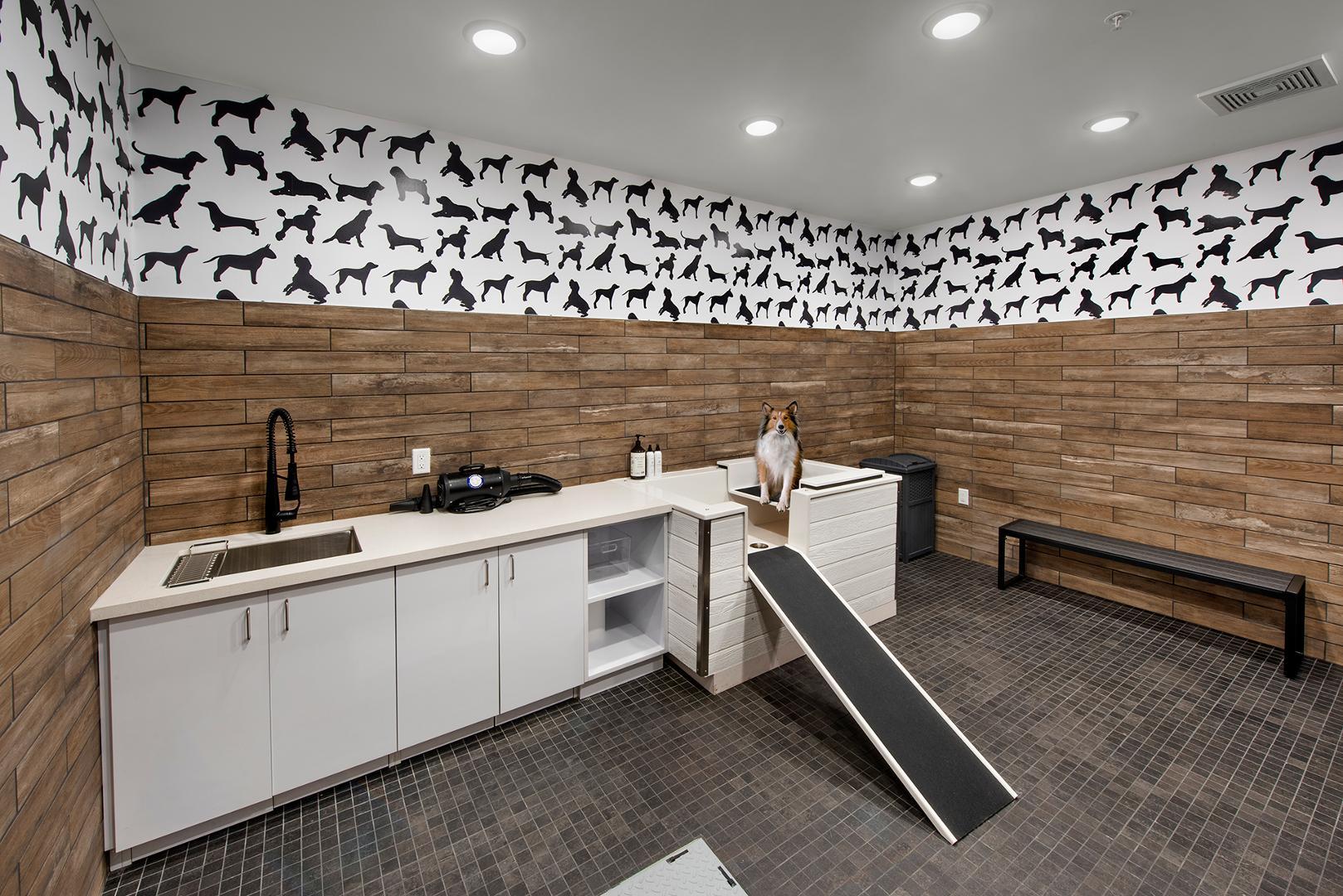 Raleigh, North Carolina 27616, United States, 2 Bedrooms Bedrooms, ,2 BathroomsBathrooms,Residential,Active,62029